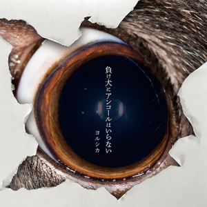 美女脱一光二净视频网站
