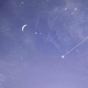 美女脱一光二净视频网站
